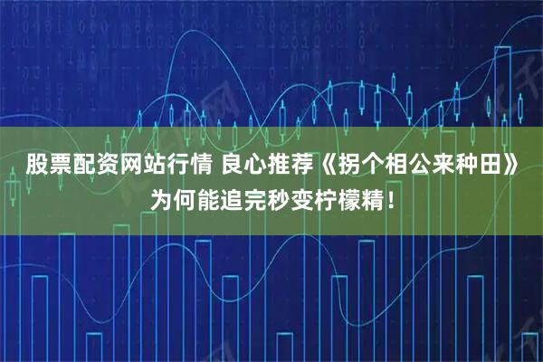股票配资网站行情 良心推荐《拐个相公来种田》为何能追完秒变柠檬精！