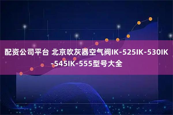 配资公司平台 北京吹灰器空气阀IK-525IK-530IK-545IK-555型号大全